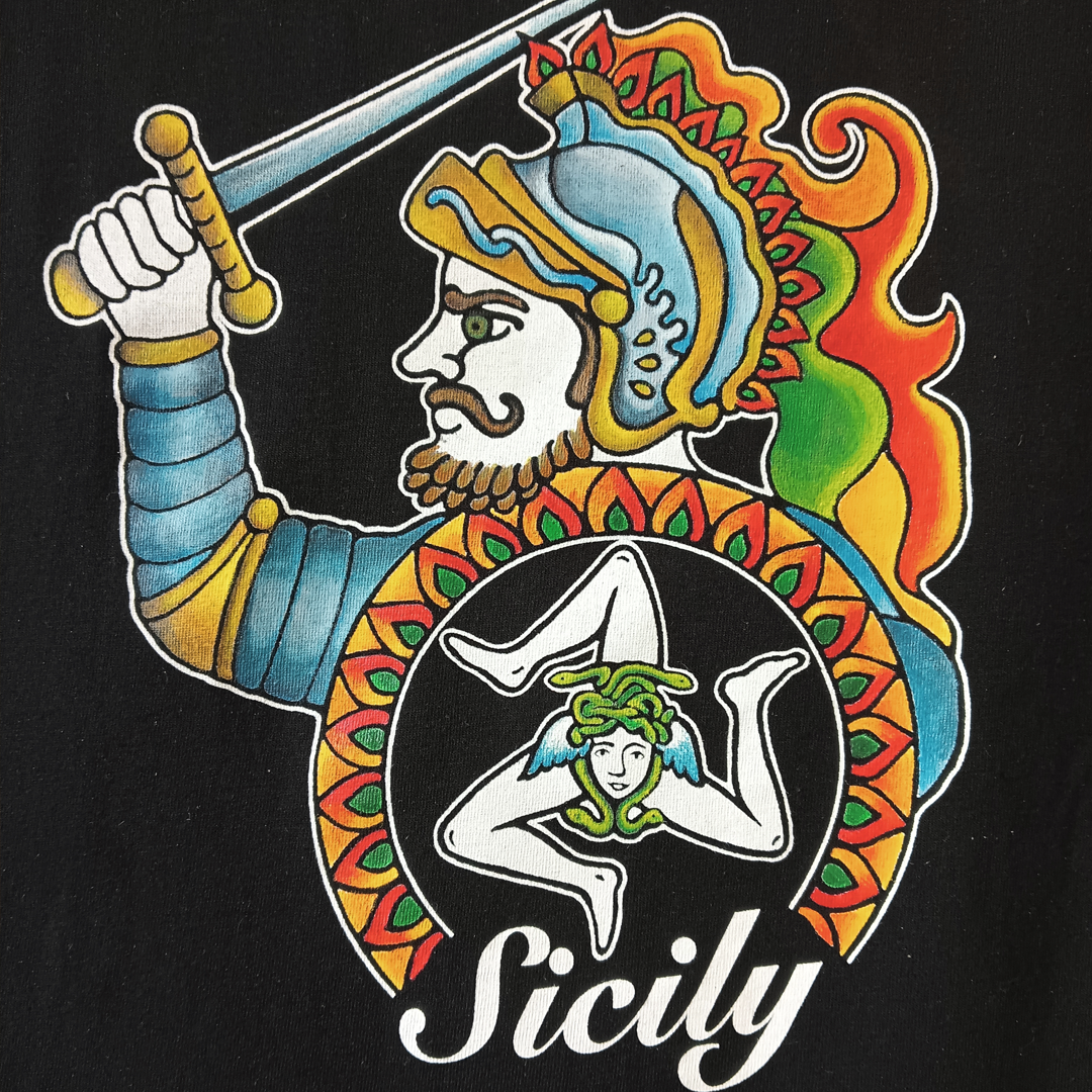 Hand-painted T-shirts for men and women - Paladin