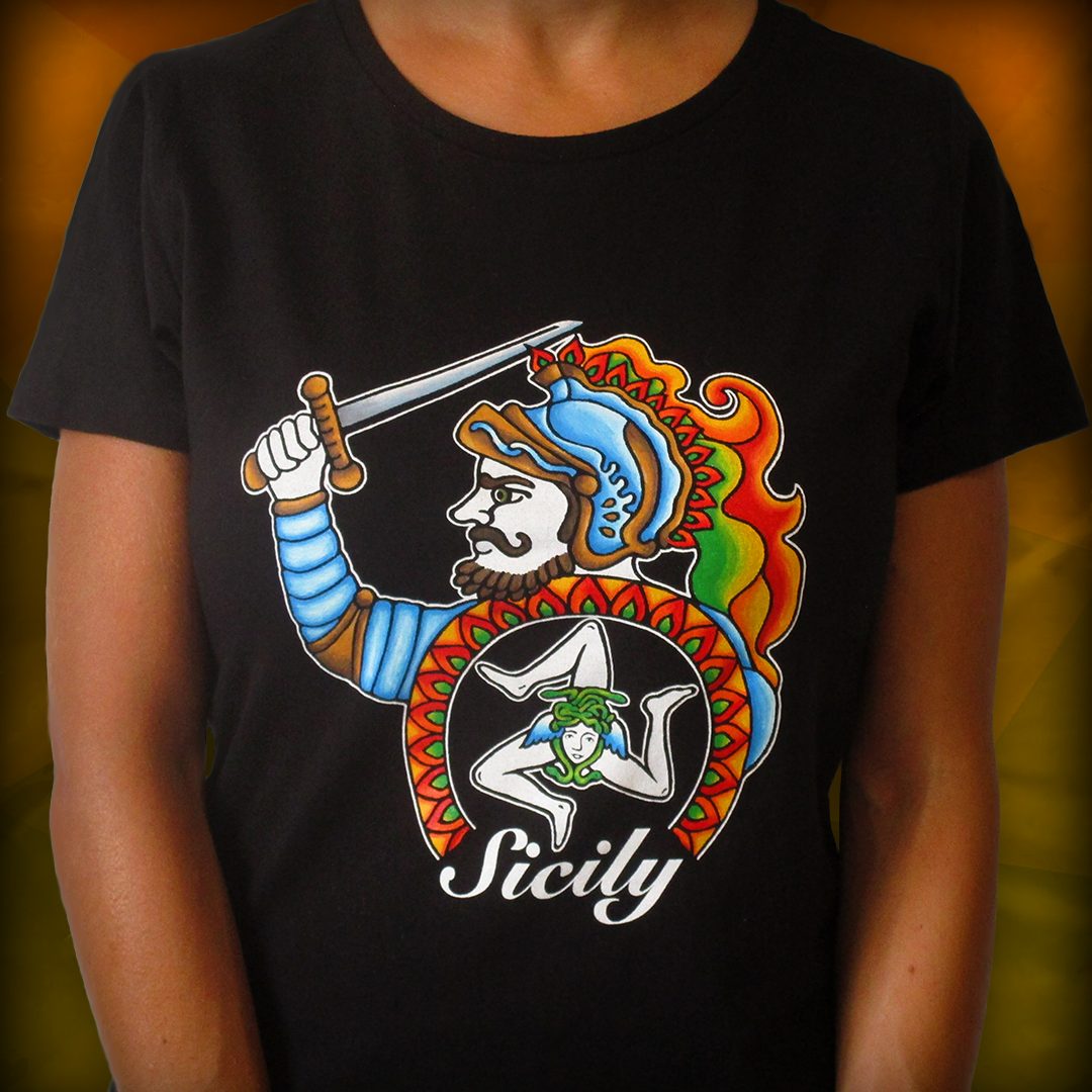 Hand-painted T-shirts for men and women - Paladin