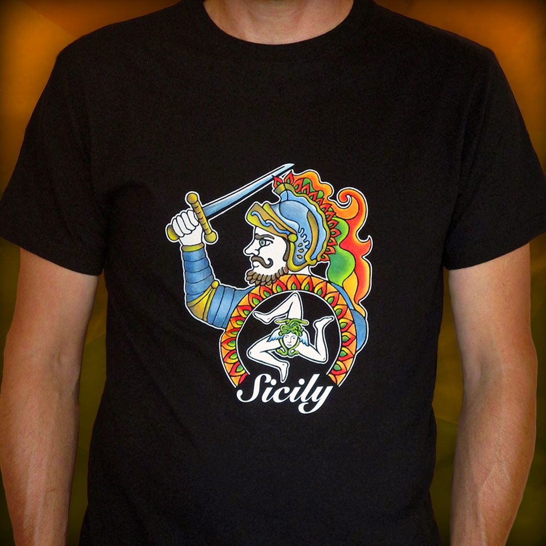 Hand-painted T-shirts for men and women - Paladin